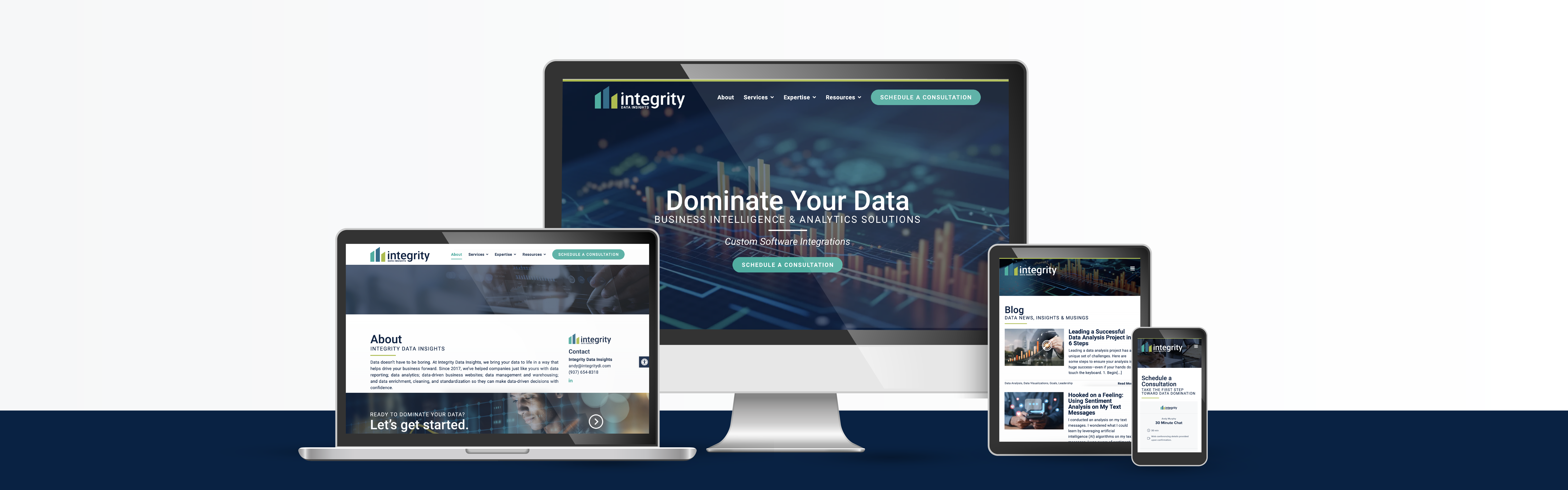 Integrity Data Insights website design