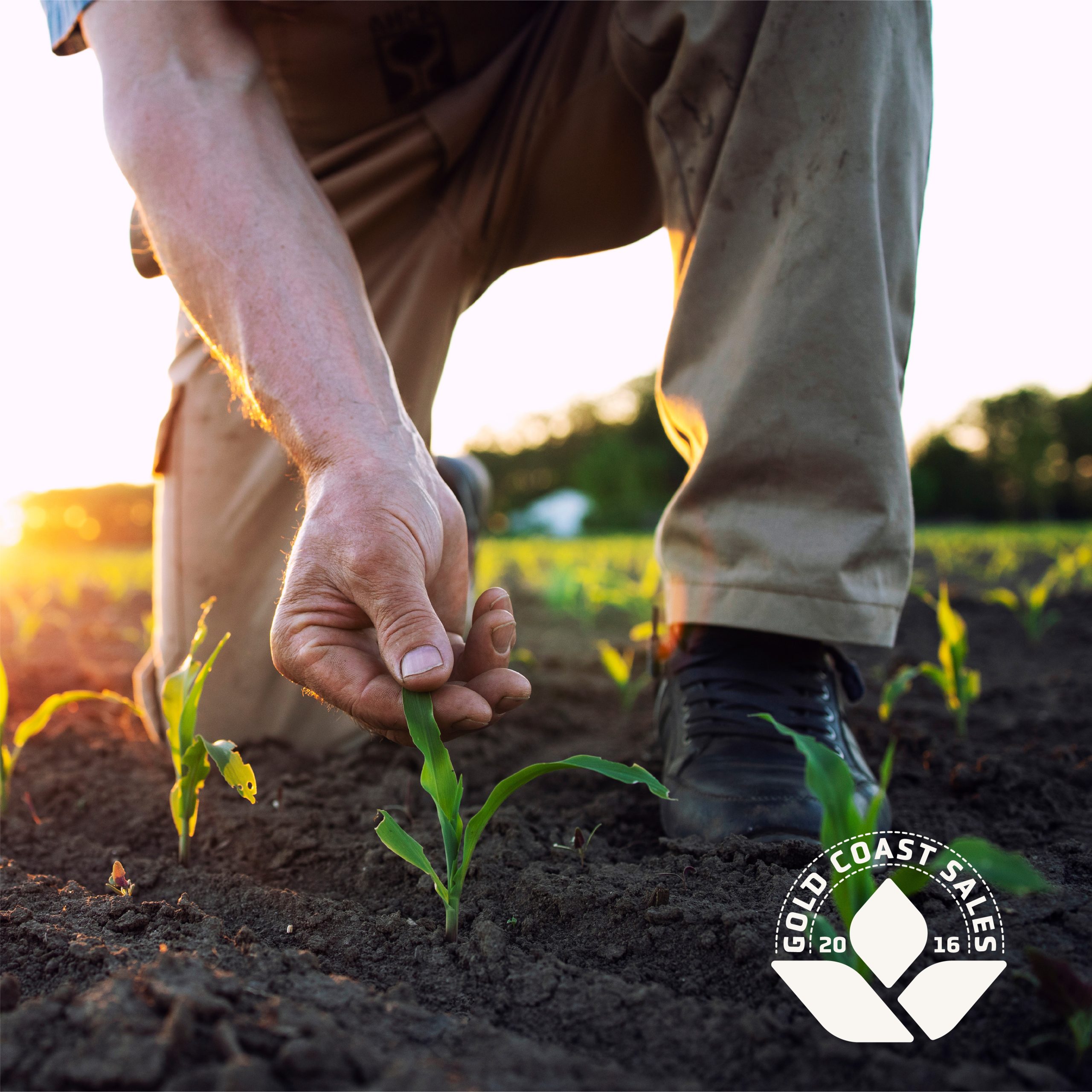 Gold Coast Sales new logo against a photo of a farmer.